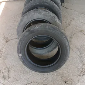 ulanylan balonlar