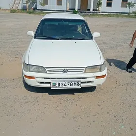 Toyota Corolla 1995