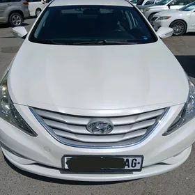 Hyundai Sonata 2010