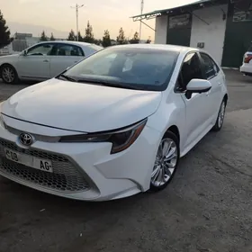 Toyota Corolla 2021
