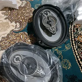 kalonka pioner