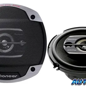 Pioneer 300 nikl