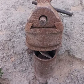 Tisgi