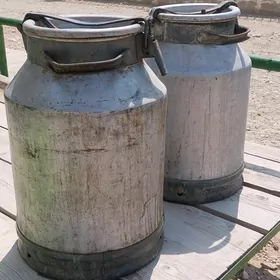 filyak