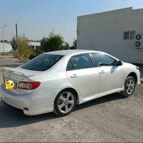 Corolla diska