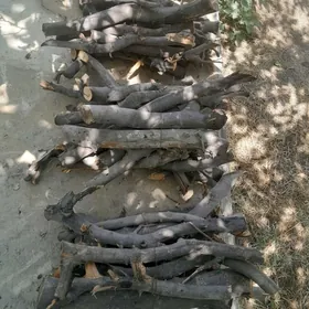 odun
