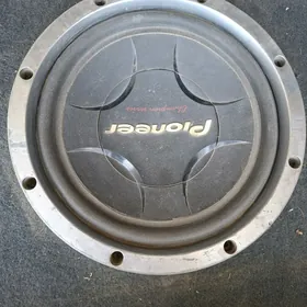 pioneer bocka