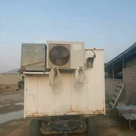 satlyk toy haladilni