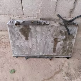 Radiator Babyçka