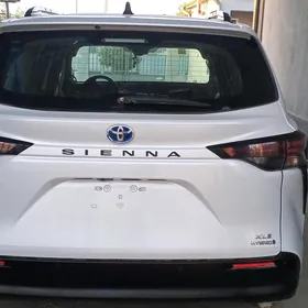 Toyota Sienna 2023
