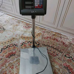Satlyk