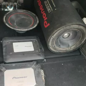Pioneer usilitel bocka kalonka