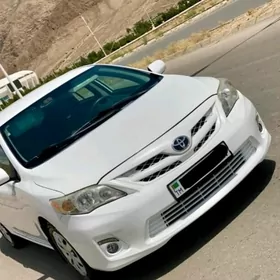 Toyota Corolla 2011
