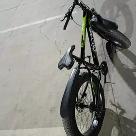 satlyk tigir