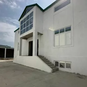 Taze Gami Kateź