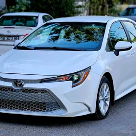 Toyota Corolla 2022