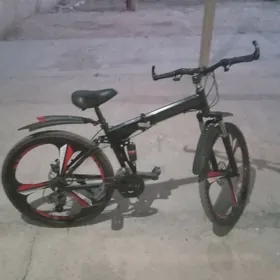 TIGIR 26