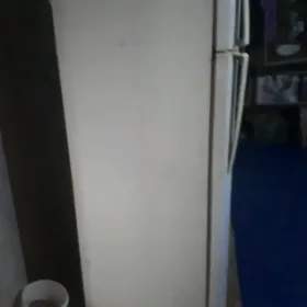 LG