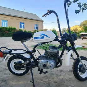 Fekon FK150-8G 2000