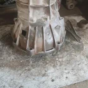 runner korzh