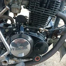 fekon 200