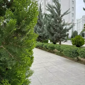14-tapgyr Pomişeniye 200-m²