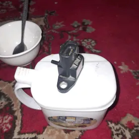 Tüsse datçik.