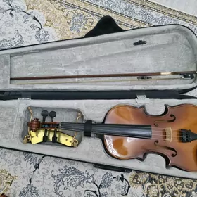 skripka скрипка
