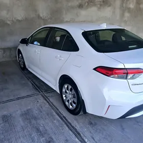 Toyota Corolla 2020