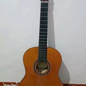Valencia gitara