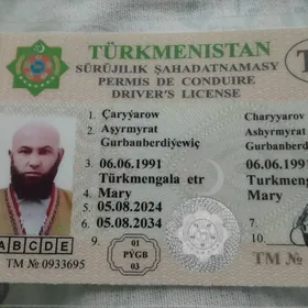 prawa yitdi