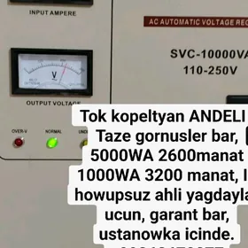 Tok kopeltyan Andeli