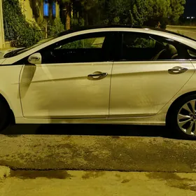 Hyundai Sonata 2011