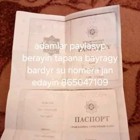 passport yitirdim