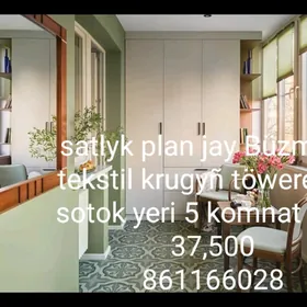 satlyk jay