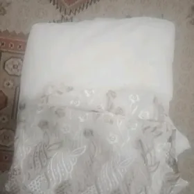 Zanavesga