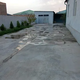 jay daşoguz gulistan