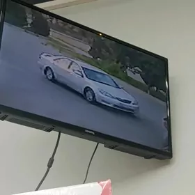 койнек йитди