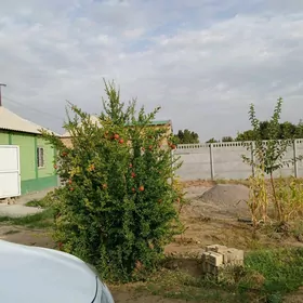 hogsan yol daça