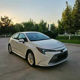 Toyota Corolla 2021
