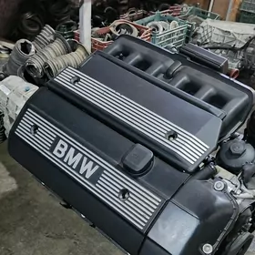 BMW MATOR E39 E46