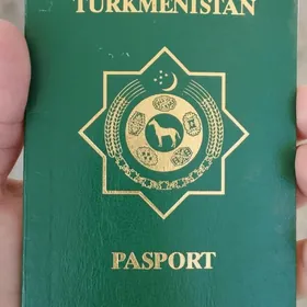 Pasport