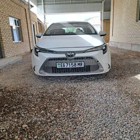 Toyota Corolla 2020