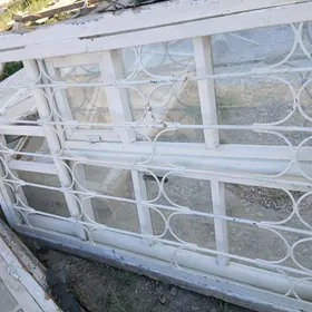 rașotga