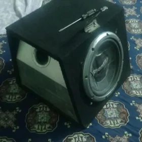 pioneer bochga