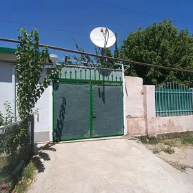 Arenda Coganly Bez Hazayyn