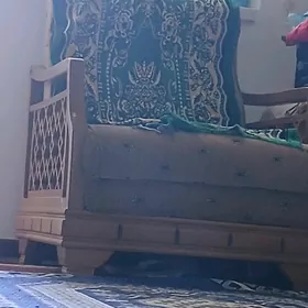 diwan satyaryn 1 adamlyk