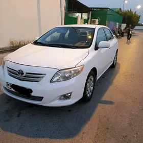 Toyota Corolla 2010