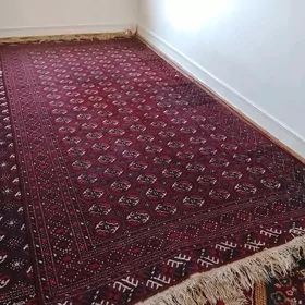 Туркмен халы