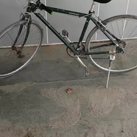 tigir welioseped